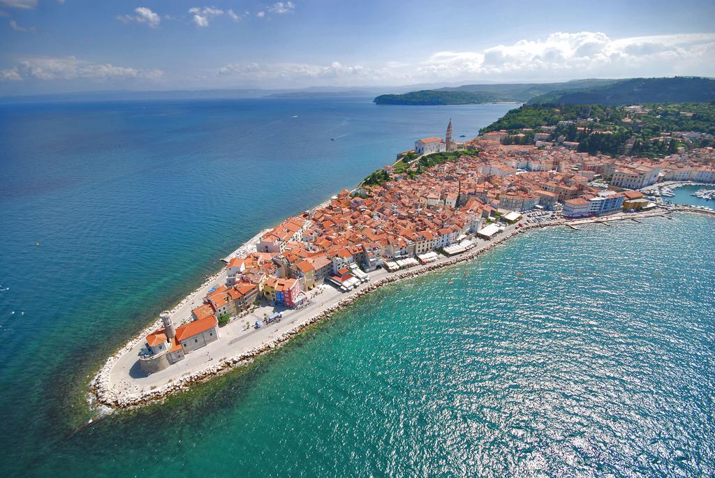Apartment Buena Vista Piran Værelse billede