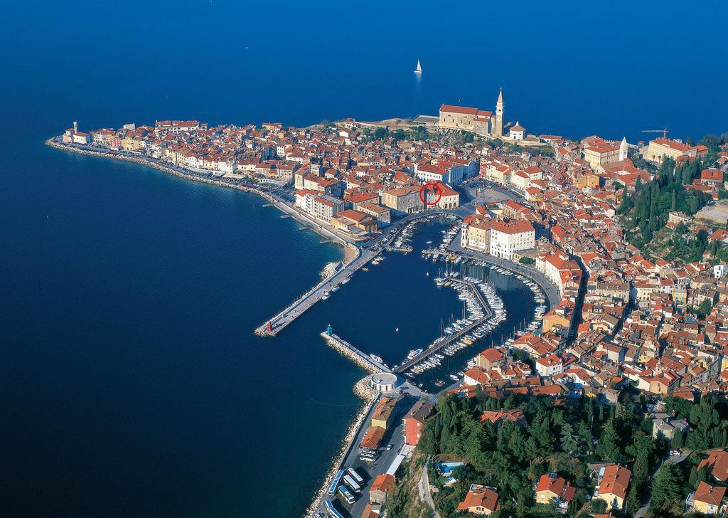 Apartment Buena Vista Piran Værelse billede